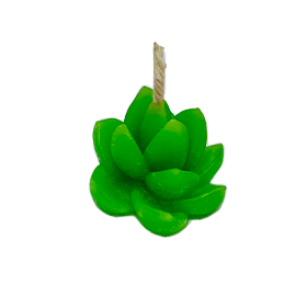 Mini vela Max Wells verde clara con forma redonda de planta o suculenta decorativa